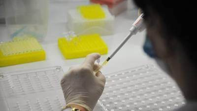 В России проведено более 77 млн тестов на коронавирус