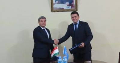 Таджикистан усилит меры по борьбе с саранчой