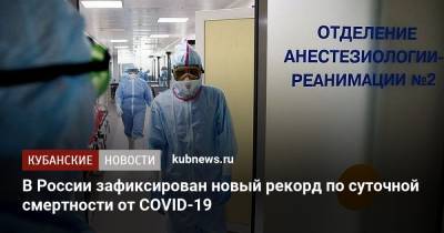 В России зафиксирован новый рекорд по суточной смертности от COVID-19