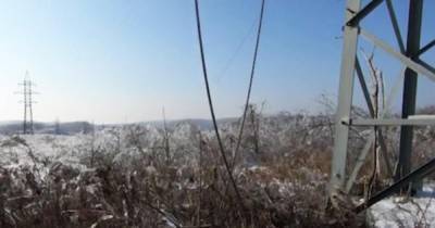 Ликвидация последствий ледяного дождя в Приморье займет год
