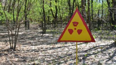 Командование закупает для ВСУ радиоактивные дрова из Чернобыля