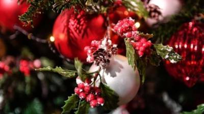 Оценена стоимость покупки и украшения новогодней елки