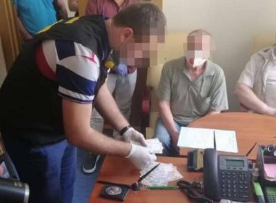 Проректор столичного вуза наладил схему нелегального въезда иностранцев в Украину