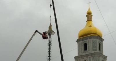 На главную елку Украины впервые надели шляпу вместо звезды