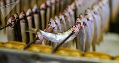 Пандемия на благо бизнеса: в Латвии за время ЧС вырос спрос на рыбные консервы