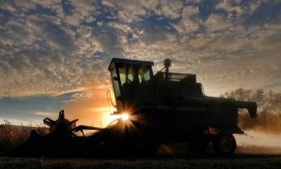 USDA: ГМ-сои в Украине выращивается до 65%, кукурузы — 1%