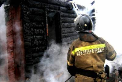 Три сарая и теплица сгорели при пожаре в Чебоксарах