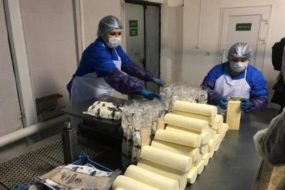 В Тамбовской области стали производить больше сыра и масла