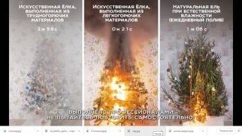 В МЧС ради эксперимента подожгли три новогодние елки (ВИДЕО)