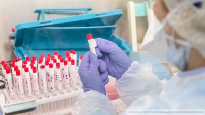 Тест на коронавирус за сутки сдали 34 076 человек в Петербурге