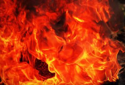Из пожара в многоквартирном доме в Лаголово спасли женщину
