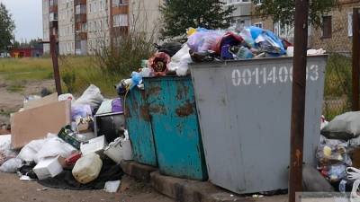 Обувную коробку с мертвым младенцем обнаружили среди мусора под Челябинском