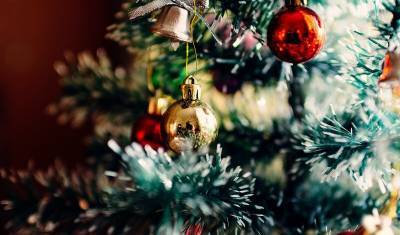 Праздника не будет: жители села в Стерлитамаке боятся остаться без новогодней ёлки
