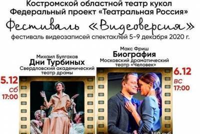 Костромской театр кукол на неделю переквалифицируется в видео-зал