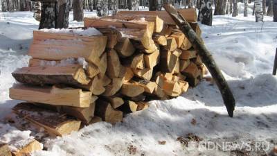 Свердловские власти решили бороться с «серым» рынком дров