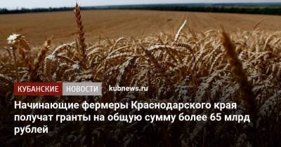 Начинающие фермеры Краснодарского края получат гранты на общую сумму более 65 млрд рублей