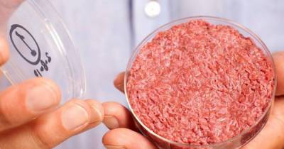 Сингапур стал первой страной в мире, где разрешено искусственное мясо