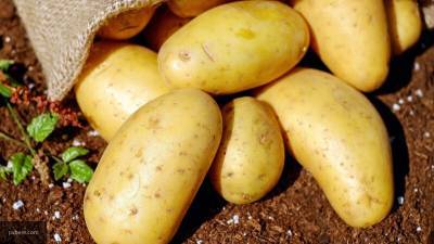 Диетолог рассказала, почему опасно есть картошку на ночь
