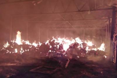 В Кардымовском районе сгорели 200 тонн сена