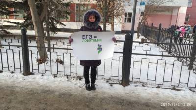 Акции против ЕГЭ и онлайн-обучения прошли в трех городах Нижегородской области