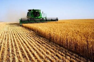 Зеленский дал добро на изменение господдержки сельского хозяйства