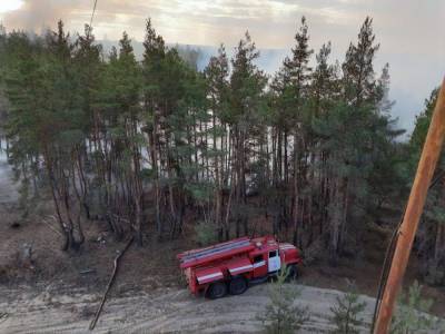 Верховная Рада создала следственную комиссию по расследованию пожаров в Луганской области