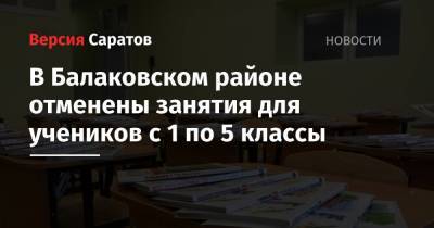 В Балаковском районе отменены занятия для учеников с 1 по 5 классы