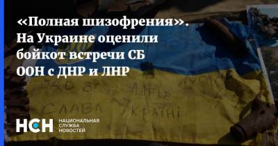 «Полная шизофрения». На Украине оценили бойкот встречи СБ ООН с ДНР и ЛНР