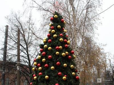 Более 70 новогодних елок появятся в Нижнем Новгороде в декабре