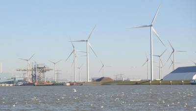В Литве объявили о строительстве парка ветрогенераторов в Балтийском море