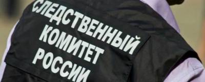 Нижегородский СК начал проверку по факту конфликта между вахтером и школьником
