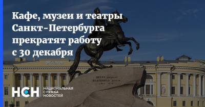 Кафе, музеи и театры Санкт-Петербурга прекратят работу с 30 декабря