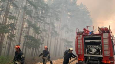 В Раде появилась ВСК по расследованию пожаров в Луганской области