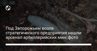 Под Запорожьем возле стратегического предприятия нашли арсенал артиллерийских мин: фото