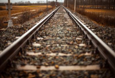 В Ленобласти осудят помощника машиниста за смерть пассажирки, ногу которой зажало дверью поезда