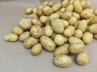 Диетолог Анжелика Дюваль рассказала о вреде употребления картофеля на ночь