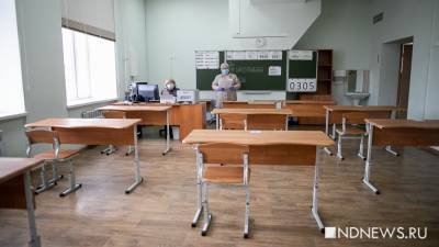 Собянин продлил «дистанционку» в школах до конца декабря