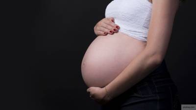 Депутат ГД объяснил идею запретить суррогатное материнство для иностранцев
