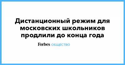 Дистанционный режим для московских школьников продлили до конца года