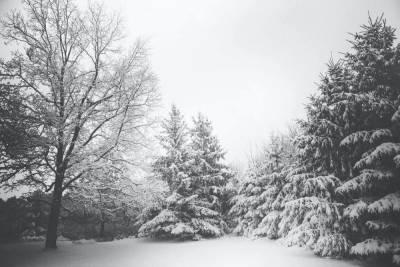 Снег и гололёд прогнозируют в Псковской области 3 декабря