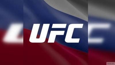 Боец UFC устроил массовую драку на свадьбе в Дагестане из-за алкоголя