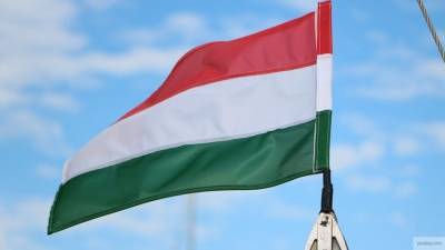 Посольство Венгрии прояснило ситуацию с гимном в Закарпатье
