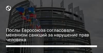 Послы Евросоюза согласовали механизм санкций за нарушение прав человека