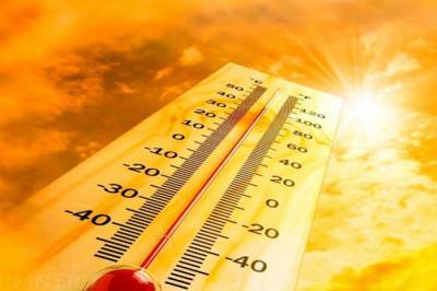 2020 год войдет в тройку самых теплых в истории