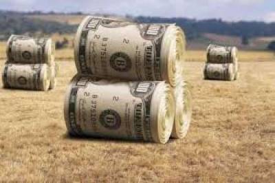 В правительстве подсчитали стоимость гектара земли после запуска рынка в Украине