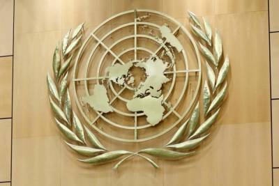 ​Без стран Европы: озвучен список государств, слушавших сепаратистов "Л/ДНР" на заседании ООН