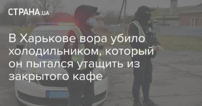 В Харькове вора убило холодильником, который он пытался утащить из закрытого кафе