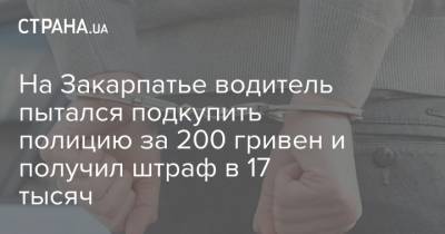 На Закарпатье водитель пытался подкупить полицию за 200 гривен и получил штраф в 17 тысяч