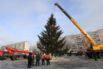 Первую живую новогоднюю ёлку установили в Брянске