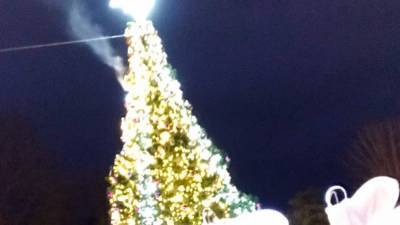 Не только Киев: праздничная иллюминация загорелась во время открытия елки также в Трускавце